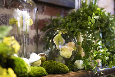 Holiday Inn West Perth, An IHG Hotel - C Tourism 2