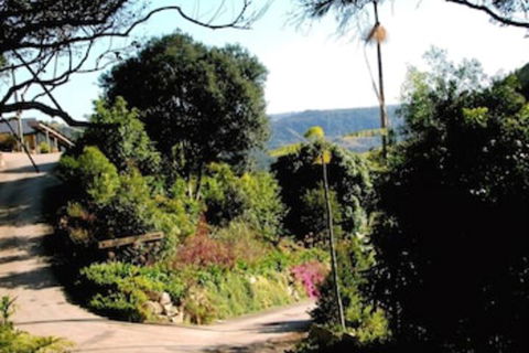 Top Of The Hill - C Tourism 3