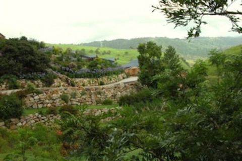 Top Of The Hill - C Tourism 5
