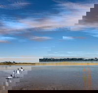 Discovery Parks - Harrington - C Tourism