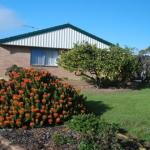 Lemontree Cottage - C Tourism 0