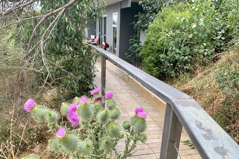 Sunrise On Falie - C Tourism 7