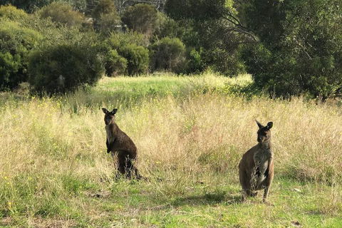 Sunrise On Falie - C Tourism 5