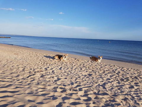 Abbey Beach Shack - C Tourism 5