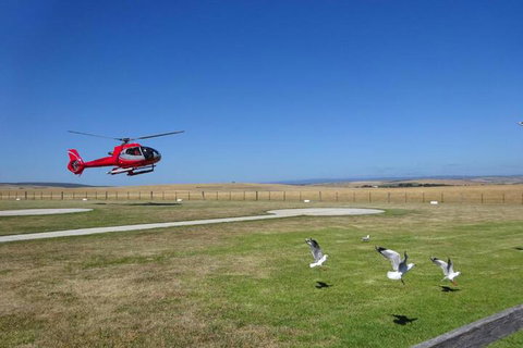 Cobden Crest Cottages - C Tourism 7