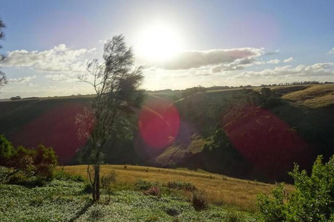 Cobden Crest Cottages - C Tourism 5