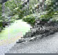 Mountain Lodge - C Tourism