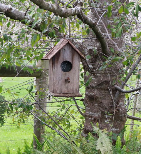The Little House On The Hill - C Tourism 2
