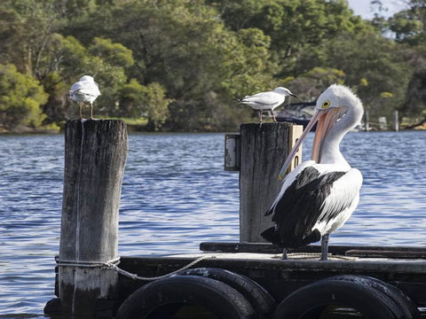 Mandurah Riverfront Holiday Rental - C Tourism 4