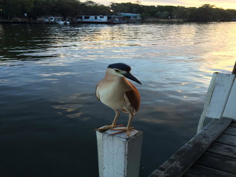 Mandurah Riverfront Holiday Rental - C Tourism 1