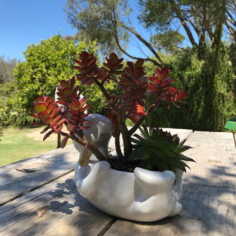 The Fingal Farm - C Tourism 3