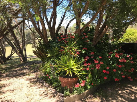 The Fingal Farm - C Tourism 6