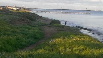 Port Lincoln Caravan Park - C Tourism 5