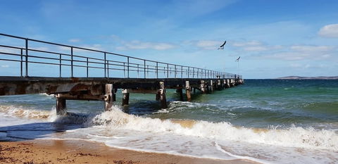 Port Lincoln Caravan Park - C Tourism 3