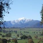 Guys Forest VIC C Tourism