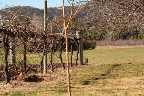 The Farmhouse At Blue Wren Wines - C Tourism 3
