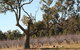 The Farmhouse At Blue Wren Wines - thumb 1