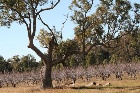 The Farmhouse At Blue Wren Wines - C Tourism 1
