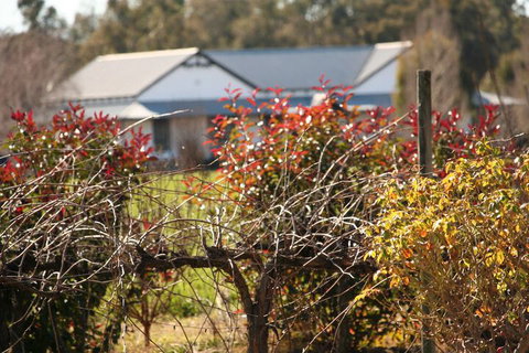 The Farmhouse At Blue Wren Wines - C Tourism 2