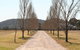 The Farmhouse At Blue Wren Wines - thumb 4