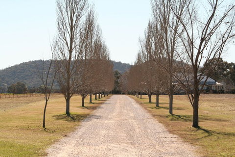 The Farmhouse At Blue Wren Wines - C Tourism 4