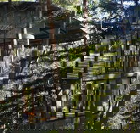 ecOasis Resorts - C Tourism