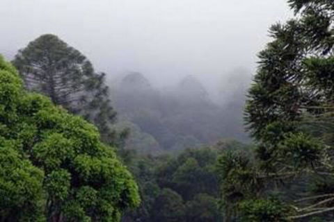 Bunya Mountains Accommodation Centre - C Tourism 3