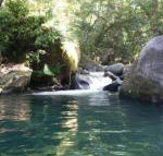 Daintree Secrets Rainforest Sanctuary - C Tourism