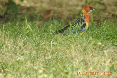 Barklysuites Apartments - C Tourism 5