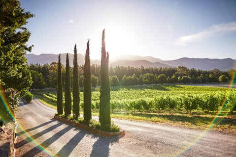 Feathertop Winery - C Tourism 5