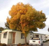 Wodonga Caravan  Cabin Park - C Tourism