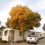 Wodonga Caravan & Cabin Park - C Tourism 1