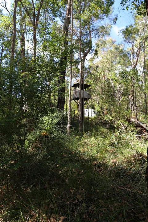 Nannup Bush Retreat - C Tourism 2
