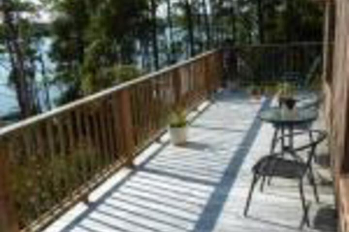 Lune River TAS C Tourism