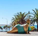 Alex Headland Beachfront - C Tourism