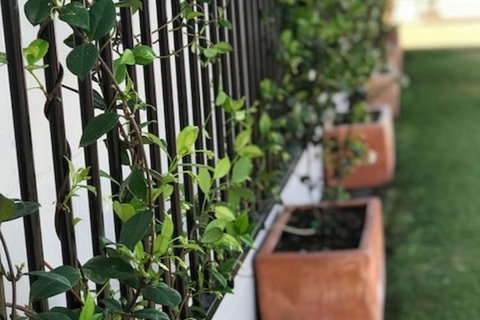 Takalvan Motel - C Tourism 1