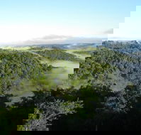 Montville Holiday House - C Tourism