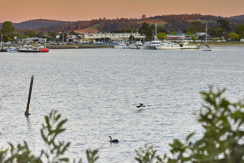 Bayside Hotel - C Tourism 6
