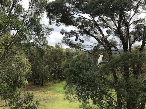 Kookaburra Retreat - C Tourism 5