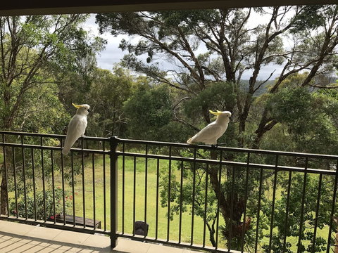 Kookaburra Retreat - C Tourism 4