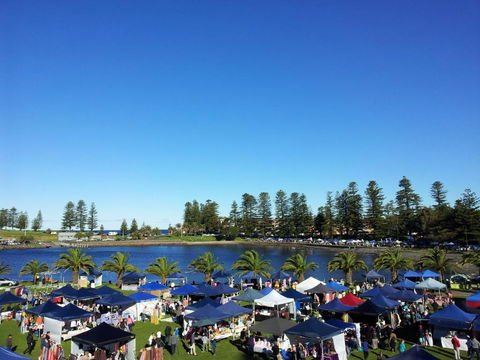 Bellevue Accommodation - C Tourism 2