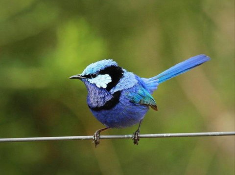 Dingup House - C Tourism 6