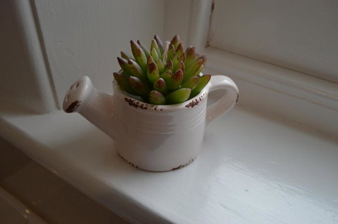 Two Cow Cottage Bed & Breakfast - C Tourism 2