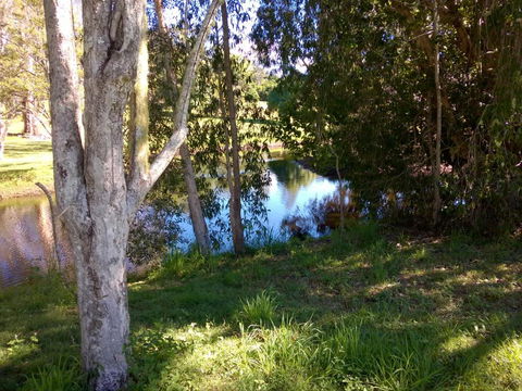 Eumundi Cottages Cottage 1 - C Tourism 4