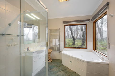 Absinthe - C Tourism 4