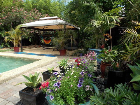 Hidden Oasis - C Tourism 4