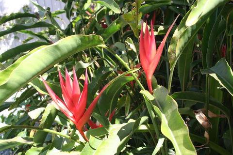 Scarborough Beach Break Holidays - C Tourism 2