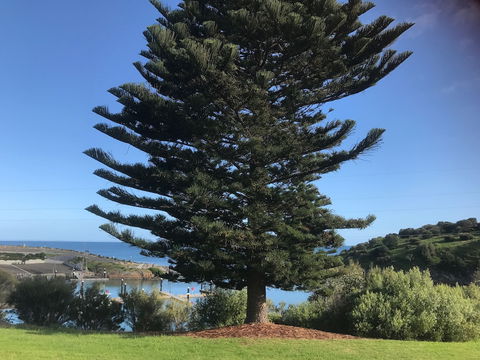 Penneshaw Oceanview Apartments - C Tourism 5