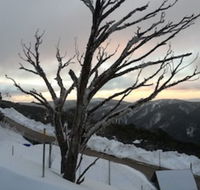 Snowflake 12 - C Tourism