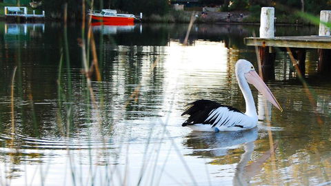 Riverfront Delight - C Tourism 4